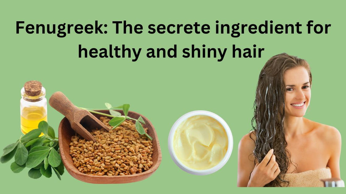 Fenugreek: The secrete ingredient for healthy and shiny hair